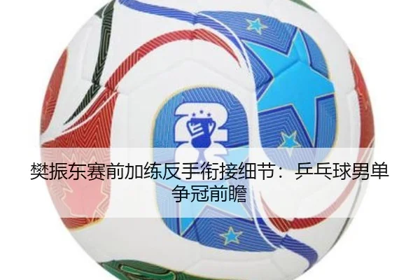 樊振东赛前加练反手衔接细节：乒乓球男单争冠前瞻